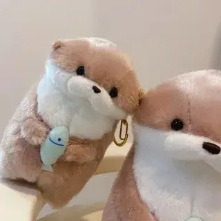 S674d8587e4b64123a9f503efb92ce47f2 1.webp