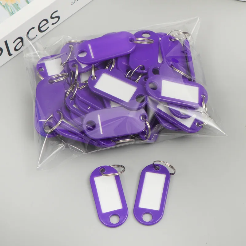 Lot De 10 étiquettes Porte-clés Plastique - Avec Inserts Papier - Couleurs Assorties - Pour Clés, Bagages, Animaux