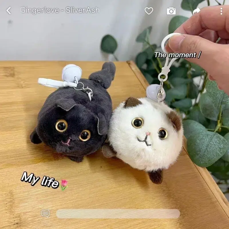 Arbre à Chat en Peluche Crème 72 cm avec Coussin Douillet - Poteau